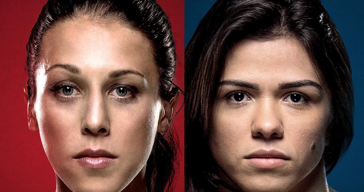 The Ultimate Fighter finale Cheat Sheet