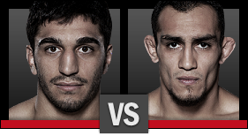 The Ultimate Fighter Finale