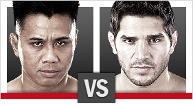UFC® 148