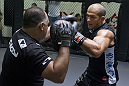 Junior dos Santos