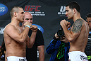 Jesse Bongfeldt & Chris Weidman