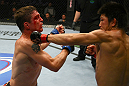 Darren Elkins vs Michihiro Omigawa