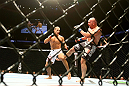 Junior dos Santos vs Shane Carwin