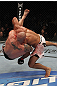 Junior dos Santos vs Shane Carwin