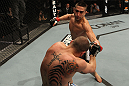 Ricardo Lamas vs Matt Grice