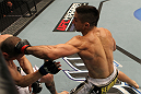 Ricardo Lamas vs Matt Grice
