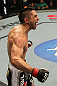 Ricardo Lamas