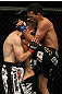 Charles Oliveira vs Nik Lentz