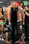Silva vs. Leben