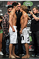 Cruz vs. Faber