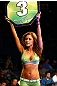 UFC Octagon Girl Brittney Palmer