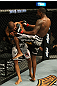 Njokuani vs. Winner