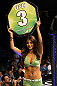 UFC Octagon Girl Arianny Celeste