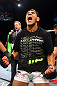Rafael Dos Anjos celebrates after knocking out George Sotiropoulos.