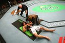 Guillard vs. Roller