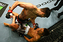 Carlos Condit knocks out Dong Hyun Kim.