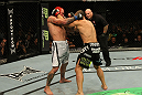 Silva vs. Leben