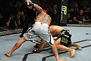 Silva vs. Leben