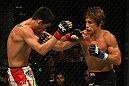 Cruz vs. Faber