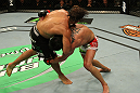Cruz vs. Faber
