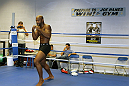 Rashad Evans