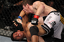 UFC133: Brown vs. Phan