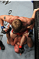 UFC 133: Hamill vs. Gustafsson