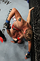 UFC 133: Hamill vs. Gustafsson
