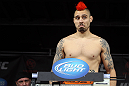 Dan Hardy