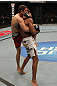 Jimy Hettes vs Alex Caceres