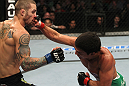 Joseph Benavidez vs Eddie Wineland