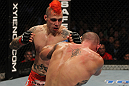 Chris Lytle vs Dan Hardy