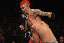 Chris Lytle vs Dan Hardy