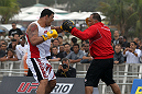 Minotauro Nogueira