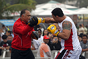 Minotauro Nogueira