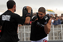 Brendan Schaub