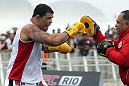 Minotauro Nogueira