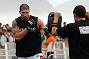Brendan Schaub