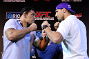 Minotauro Nogueira & Brendan Schaub