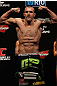 Luiz Cane
