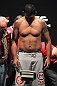 Minotauro Nogueira