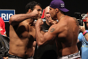 Minotauro Nogueira & Brendan Schaub