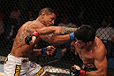 Raphael Assuncao vs Johnny Eduardo