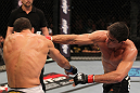 Paulo Thiago vs David Mitchell