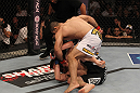 Rousimar Palhares vs Dan Miller