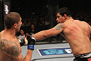 Minotauro Nogueira vs Brendan Schaub
