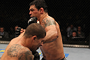 Minotauro Nogueira vs Brendan Schaub