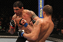 Minotauro Nogueira vs Brendan Schaub