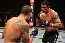 Minotauro Nogueira vs Brendan Schaub