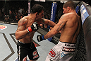 Minotauro Nogueira vs Brendan Schaub